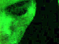 Homemade Fuck Small Tits Milf