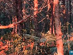 scarlett taylor and stephan rogers give in to outdoor cowgirl quickie lust