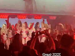 pornstar vixen x strips thong dances rips clothes hot slut performance