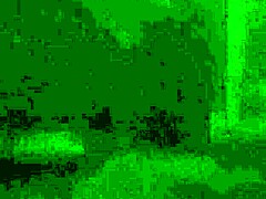 check jiji gold shaking that sexy teen ass wild