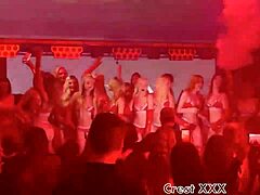 pornstar vixen x strips thong dances rips clothes hot slut performance