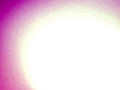 can my hairy college student's wet pussy finally take that thick cock?