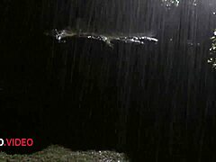 Passionate Japanese Office Mistress Kneels for Horny Lover's Thick Cock Blowjob at Work