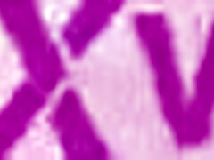 My heart pounds as bi babe Lia Lin hops beds for steamy threesome affair