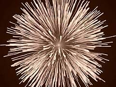 ei puta de bunda grande, seu cuzinho guloso aguenta rola sem camisinha e leite quente todo dentro? anal creampie doggystyle