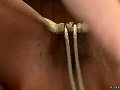 bound ebony lesbian anal hooked spanked lezdom pain hogtied