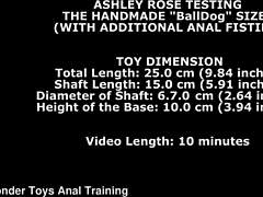 Ashley Rose Takes Balldog L Dildo and Extra Anal Fisting!
