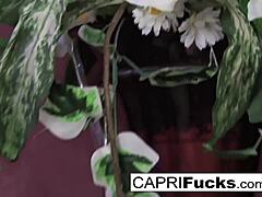 Busty Brunette Fingers Tight Wet Pussy Solo Hard