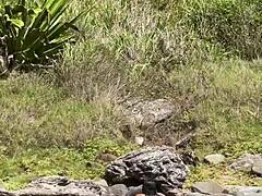 Sexy Japanese Pornstar Caught Sucking BBC Outdoors on Cabo Frio Island