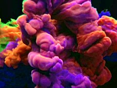 Red pube preacher paid and got hooked on my ass