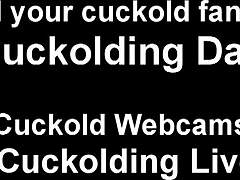 your shrimp dick shames next to his massive black cock