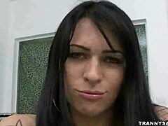 Brunette shemale babe strokes her rock hard cock! 🍆💦