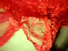 indonesian wife sneaks quick asian bokep fuck before husband arrives