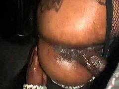 muscular ebony bbw wife dripping wet pussy ripped clothes fucked doggystyle by huge bbc