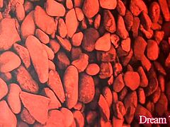 yo trans blonde stephany, suck my cock then let me fuck that tight ass