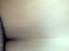 Wet Creamy Black Pussy Dripping with Juicy Fat BBW Appeal