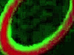 whoa sara jay's huge ass rides james angel's thick cock cowgirl style 🔥