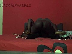 sun scorched us during rough hairy pussy sex i sweated everywhere