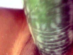 kissesxxx rams huge cucumber deep in her squirting ebony pussy outdoors for messy cumshot