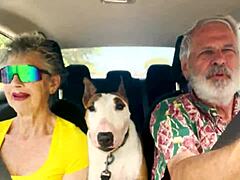 driving through oahu chatting dirty about her wildest car sex fantasies