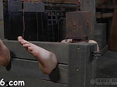 i love how this beautiful babe's sweet nipples take that brutal painful suck