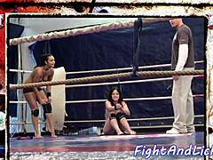 watching these muscular european lesbians bodybuilder wrestle catfight in boxing ring