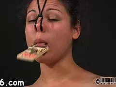 Caged girl gets a lusty whipping for her smooth booty.