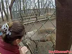 Euro babe pulled for sneaky pov stranger bang