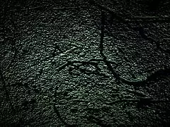 Dana Barzagli gets oral in the farmer part 1! 🍆