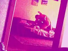 sex with a lover bent over for homemade creampie in doggystyle