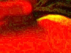 Holy Shit, Gay Guy Jerking Off Solo At Home!