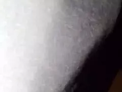 la zorrita de la villa explores her neighborhood adventures 😊