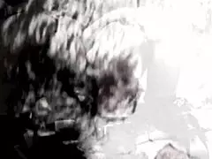 vintage cartoon nostalgia exploration