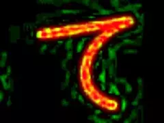 Watch these ntr lesbians? So hot!