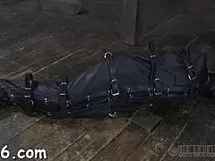 Oštro bičevanje za očaravajuću curu