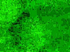 Knulle ekskjæresten med monsterkuk til creampie i BBW-økt