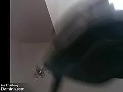 German domina gives live education instructions