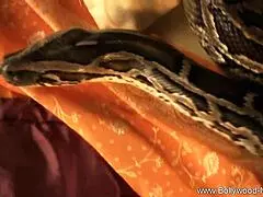 Brunette girl from exotic Bollywood dances with sensual music in erotic striptease scene.