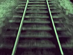 i watched vintage pornostalgia with two centuries of group sex and hairy interracial threesomes