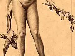 Vintage anime hentai drawings depict erotic scenes