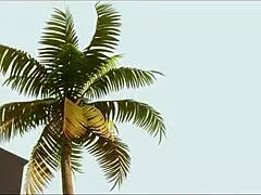 Overwatch compilation 104 27 02 23!