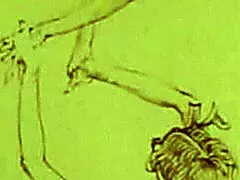 Vivien’s German Ass Takes a Hard Cock Polish