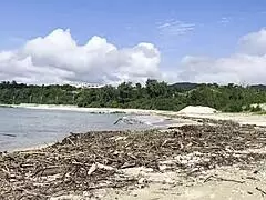 Cleaning the natural beach at Pacific Ocean with cute anime vibe