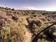 does neva get fucked by monster cock in the d3ad rac3r music video?