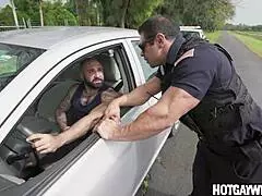 Poliziotto riceve una svolta inaspettata durante un controllo di routine