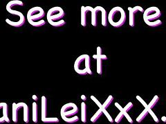 Зрела пума заводи младог ИТ техничара смелим потезима