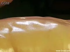 Massage the Genital Region with Intense Care in Gay Session