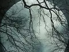 Hey check this amateur group with tattooed mature nerd housewife banging blonde milf tits 😏