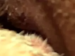 Flowerandlouis - Update 5 - Morning After Laughs Comedy In Everyday Life - Jul 13 2024