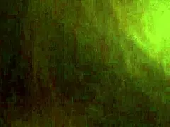 transsexual shemale giving oral blowjob in casual scene